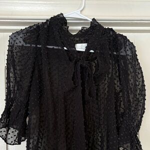 7 For All Mankind Black Sheer Blouse